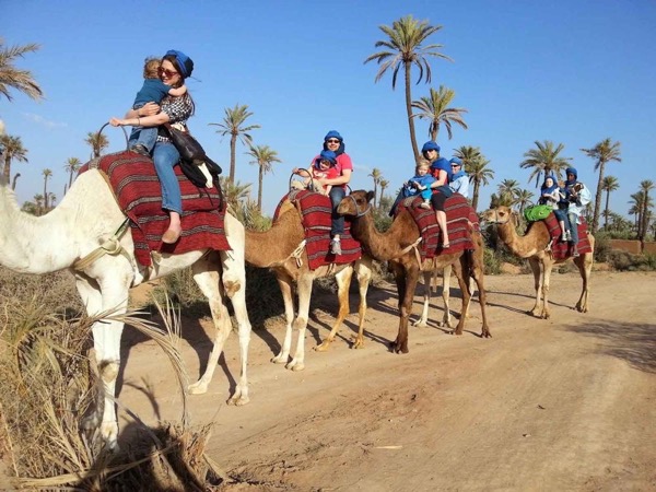 Camel riding