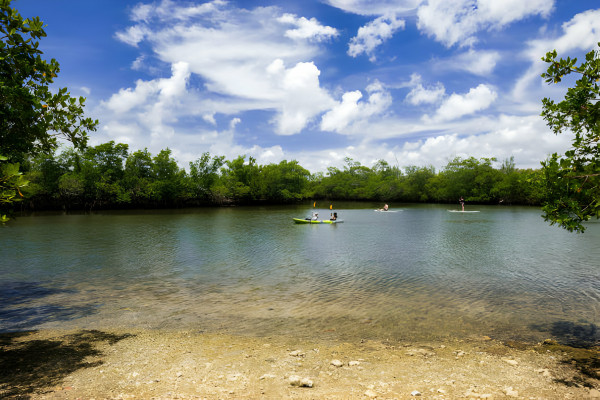 Kayak/SUP in Miami's Wild Islands