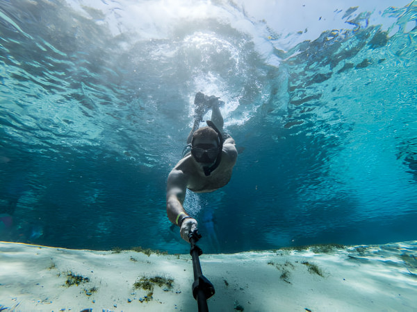 Snorkeling in Miami's Wild