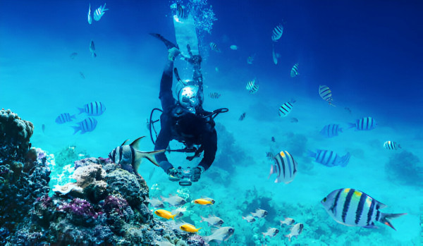 Snorkeling & Scuba Diving in Cancun