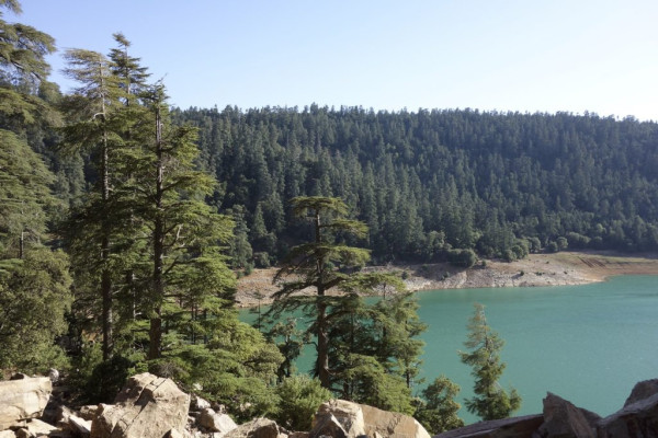 Trekking in Ifrane National Park