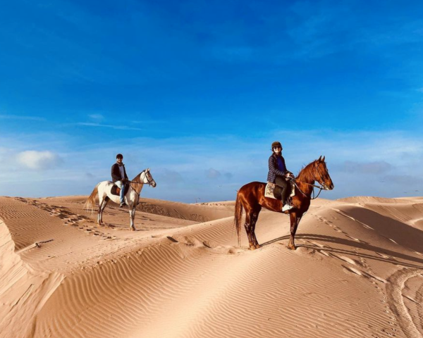 Essaouira Wilderness Day Trip: Trekking, Horse Riding, and Scenic Bliss